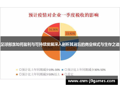足球部落如何盈利与可持续发展深入剖析其背后的商业模式与生存之道 足球部落如何盈利与可持续发展深入剖析其背后的商业模式与生存之道