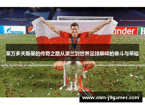莱万多夫斯基的传奇之路从波兰到世界足球巅峰的奋斗与荣耀