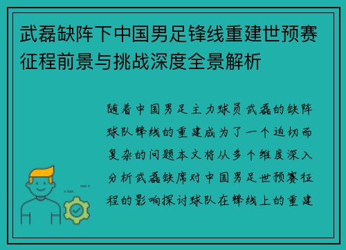 武磊缺阵下中国男足锋线重建世预赛征程前景与挑战深度全景解析