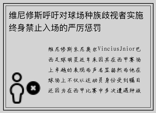 维尼修斯呼吁对球场种族歧视者实施终身禁止入场的严厉惩罚